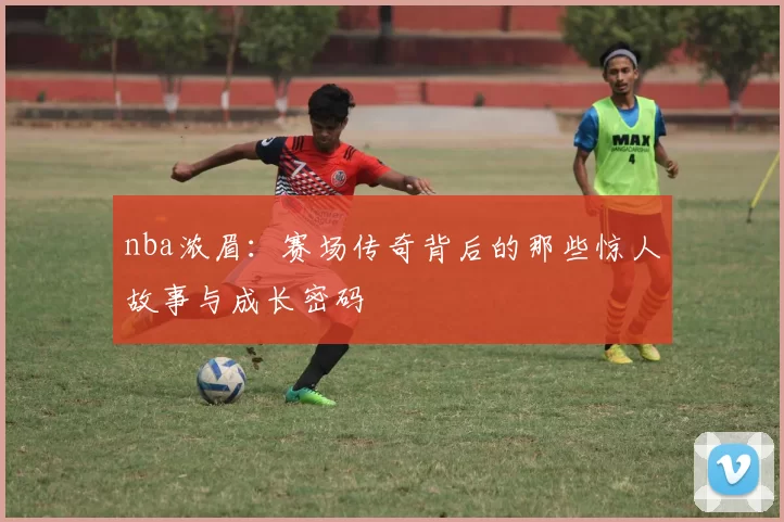 nba浓眉：赛场传奇背后的那些惊人故事与成长密码