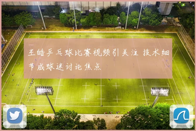 王皓乒乓球比赛视频引关注 技术细节成球迷讨论焦点