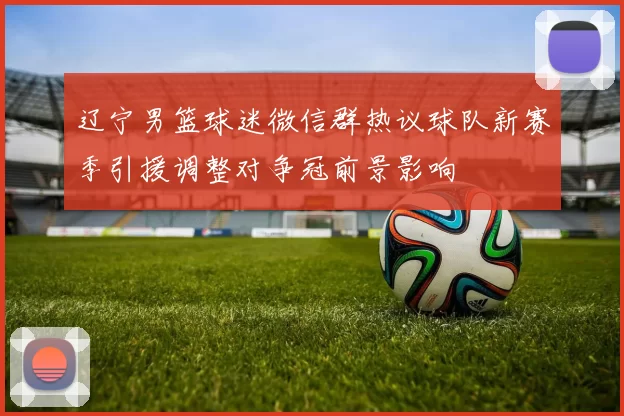 辽宁男篮球迷微信群热议球队新赛季引援调整对争冠前景影响