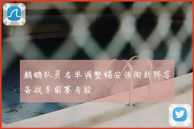 鹈鹕队员名单调整锡安领衔新阵容备战季前赛考验