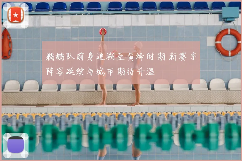 鹈鹕队前身追溯至黄蜂时期 新赛季阵容延续与城市期待升温