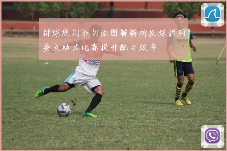 排球规则和打法图解解析发球拦网要点助力比赛提升配合效率