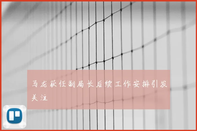 马龙获任副局长后续工作安排引发关注