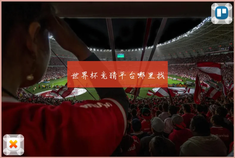 世界杯竞猜平台哪里找