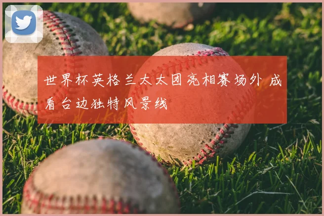 世界杯英格兰太太团亮相赛场外 成看台边独特风景线