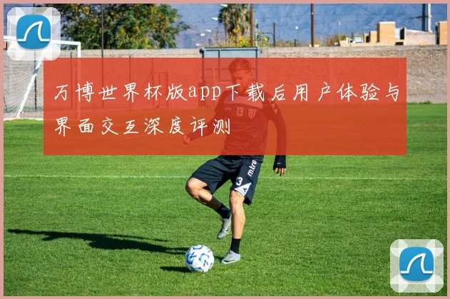 万博世界杯版app下载后用户体验与界面交互深度评测