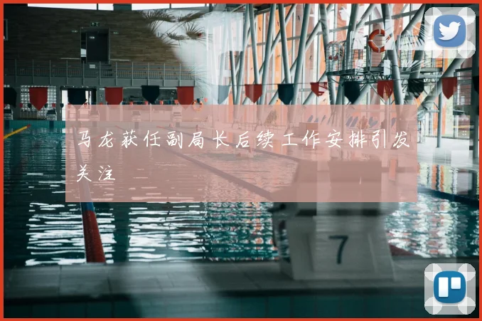 马龙获任副局长后续工作安排引发关注