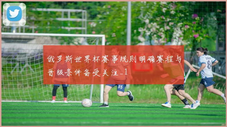 俄罗斯世界杯赛事规则明确赛程与晋级条件备受关注_1