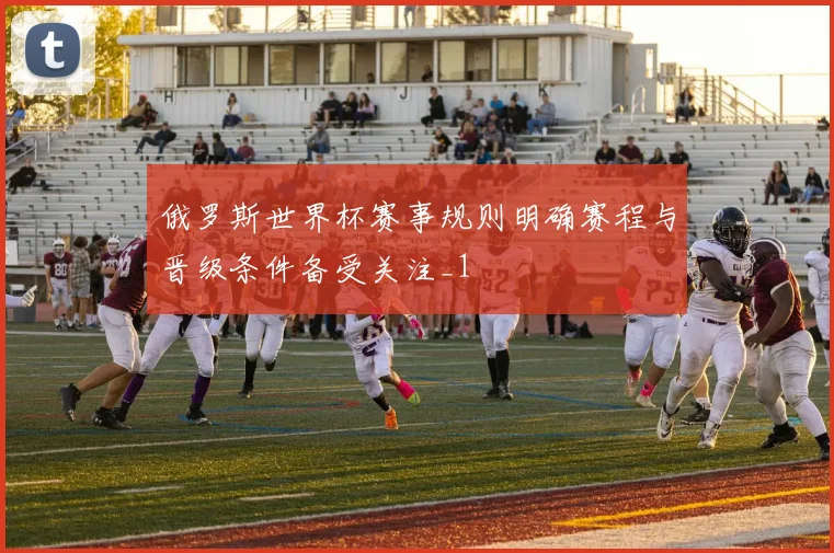 俄罗斯世界杯赛事规则明确赛程与晋级条件备受关注_1